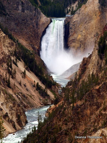 Yellowstone Falls P8165213